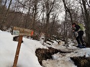 59 Evvia sul  sentiero di salita-discesa per la vetta-croce Cornagera, fattibile anche da Dori